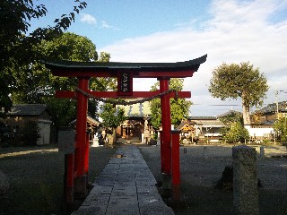 �����א_��