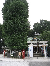 ��z�����{(��z�����_��)