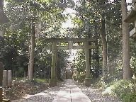 �o�_�ɔg��_��