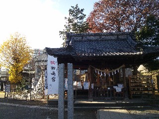 ��z�s�F��z�F��_��