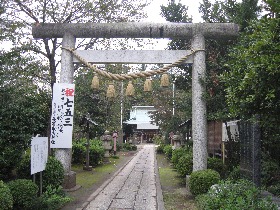 ���{�X��_��