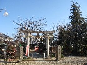 ��V���_��