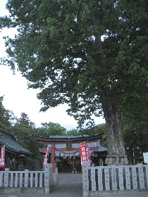 �[�J�s�F�F���_��