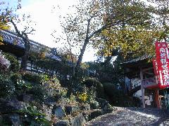 �����ω��吹��