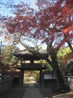 �V��@�ʊi�{�R�@���@