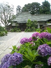 �F�J�s�F�ۈ���