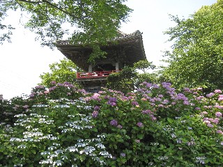 �\�쎛(����������)