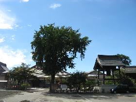 �㗢���F�z�_��