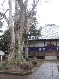 ���R�@�̂ނ��낶