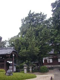 �������̃r���N�V��