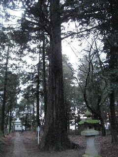 �ɓޒ��@���j�_�Ђ̃X�M