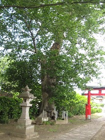 �k�{�s�V�_�Ђ̃��N