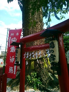 ���_�Ђ̕v�w���