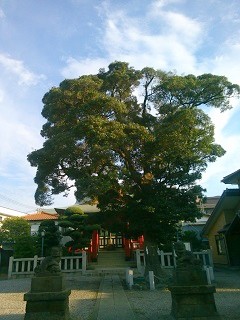 �������܎s �㏬���X��_�Ђ̃��b�R�N