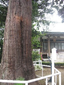 �^��@�̃R�E���}�L