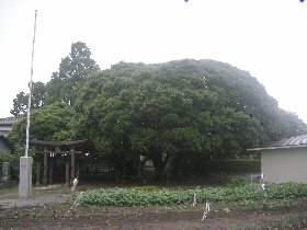 ���C�䔄�_�Ђ̑�V�C