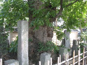 �����@�̃��N���W