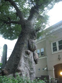 �������܎s ���_�Ђ̃P���L