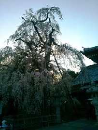 �����@�̂������