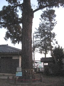 �F��_�Ђ̑�X�M