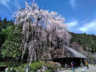 ����ƏZ��̂������