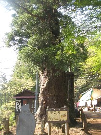 �є\�s �q�̌����̓�{��