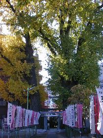 �o����א_�Ђ̂����傤