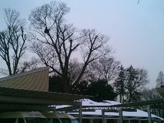 ����s�F���₫�c�t���̃P���L