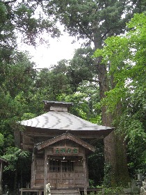 ���������F��A���̑吙