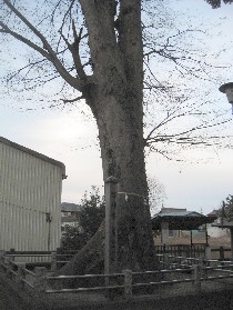 �ӂ��ݖ�s�F�c�Ԑ_���_�Ђ̂��₫