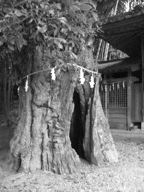 ���쒬�F���R�_�Ђ̑�J�V