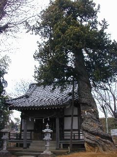 �����̃r���N�V��