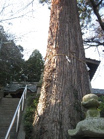 �蔒�_�Ђ̑�X�M