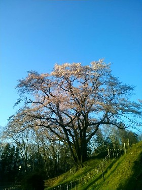 ���`������̃G�h�q�K���U�N��