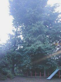 ���˂̃C�`���E