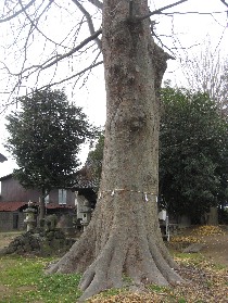 �����s�F����h�_�Ђ̑�P���L