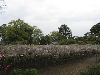 �����̓�