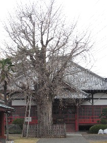 �����s�F�ω����̃C�`���E