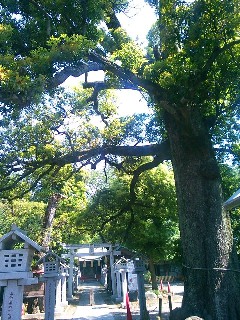 �g��s�@�F��_�Ђ̃^�u�m�L