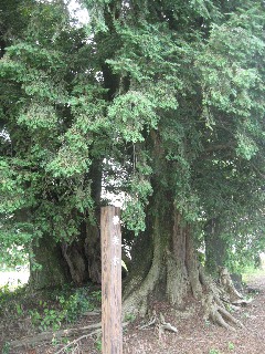 �[�J�s �����z�K�_�Ђ̞ИV��