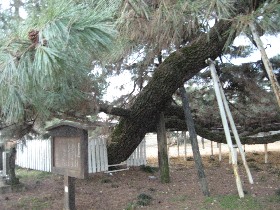 ���x�c�ω��˂̏�