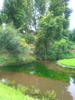 �N���㊯��(�����s)