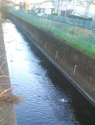 �ӂ��ݖ�s�@�����]��N���Q