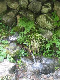 ���J�̐�(�є\�s)