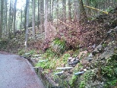 �R���̐���(�є\�s)