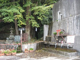 �s������(�����s)