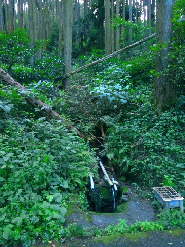 �H�R�̐���