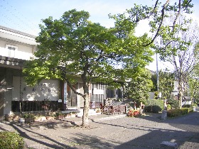 �������܎s��������