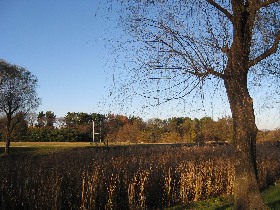 �H��������