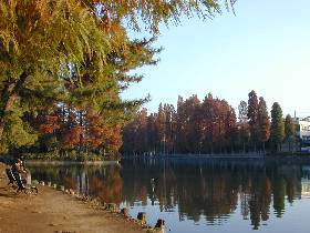別所沼公園